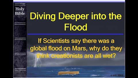 Noah's Ark - Diving Deeper into the Flood