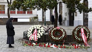 After Attack, Austria Seeks To Reform Intelligence Sector