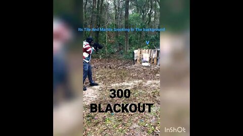 300 Blackout Mag Dump