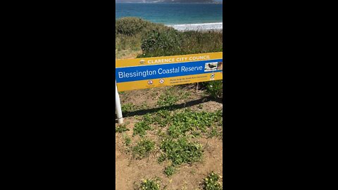 Blessington Beach