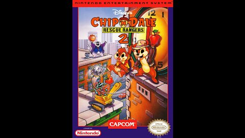 Chip n Dale Rescue Ranger 2 Anti Piracy Screen