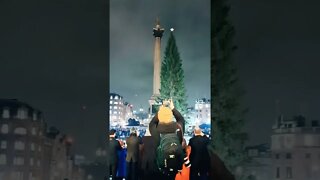 75TH Anniversary of the lighting up ceremony Christmas tree in trafalgar Square #london