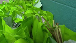 F.R.E.S.H. Project kicking off 3rd mobile market, helping bring healthy food to rural areas