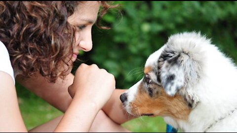 The Psychological Benefits of owning a dog