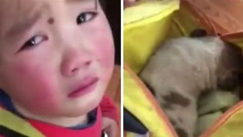 [ADORABLE] Niña de 4 años rescata un cachorro y llora para que no le hagan daño