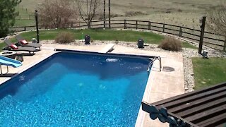 Retired Colorado teacher rakes in $50,000 from pool rental business