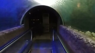 Water World under water tunnel Kelaniya 🙂