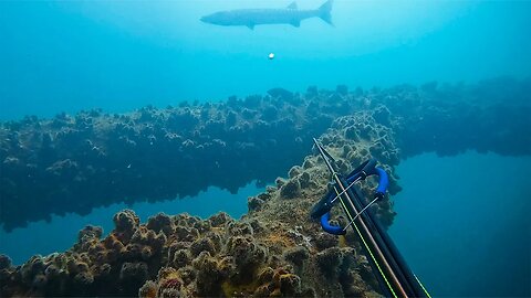 Spearfishing Offshore Oil Rigs for Lunch: Catch Clean Cook Grouper || Selective Spearfishing