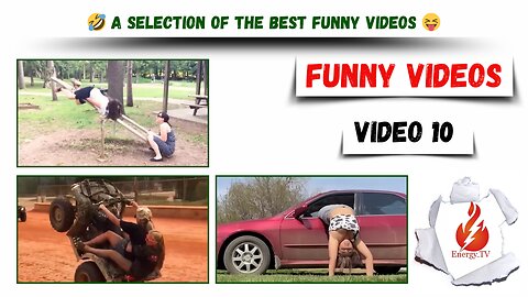 🤣 A selection of the best funny videos 😝