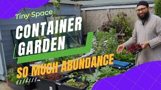 Abundance In Small Spaces, Massively Productive Container Garden - Container Gardening