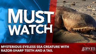 Mysterious eyeless sea creature with razor-sharp teeth and a tail