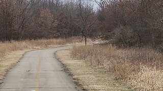 Deer spotting trail part 2. The coyote sighting!