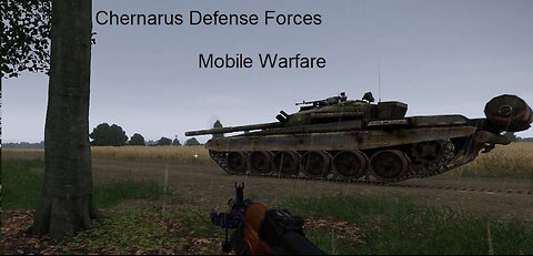 Chernarus Defense Forces Combat Operations in Northwestern Chernarus