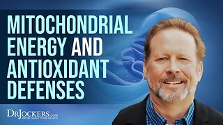 Mitochondrial Energy Production, Oxidative Stress and Antioxidant Defense Systems with Ken Swartz