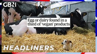 Egg or dairy found in a third of 'vegan' products 🗞 Headliners