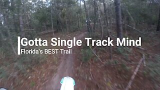 I Gotta Single Track Mind: Florida's Best Trail