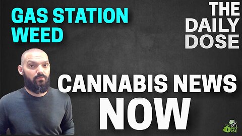 Cannabis News Now October 24th 2022: The Daily Dose