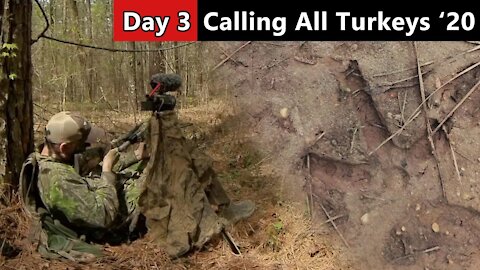 Tracking Down A Mississippi Gobbler - Public Land Turkey Hunting - Calling All Turkeys