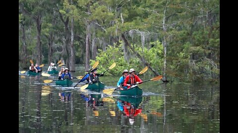 Podcast Episode - Louisiana Swamp Base