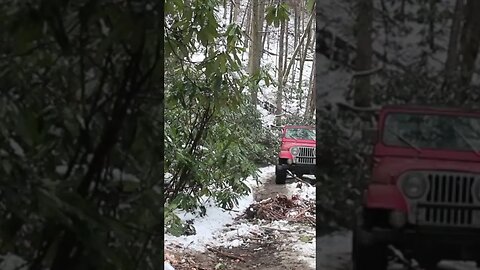 Clearing a tree with an axe while 4x4 in the wilderness. Jeep CJ and FJ Cruiser