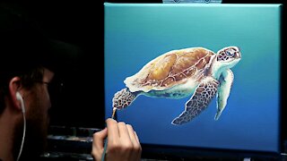 Acrylic Wildlife Painting of a Sea Turtle - Time Lapse - Artist Timothy Stanford