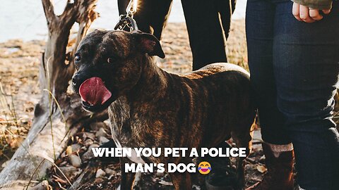 When you pet a police man's dog😂