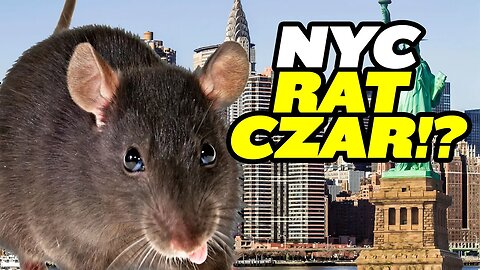 New York City Is Hiring a Rat Czar