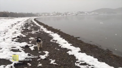 Beach season is over, wet snow covers Newfoundland shoreline