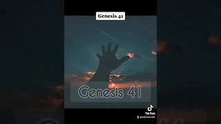 Genesis 41