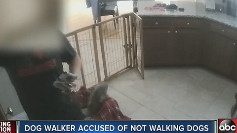 Family says dog walker didn't walk dogs