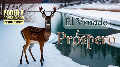 El Venado Próspero #prosperidad