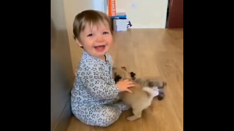 Cute baby and puppies