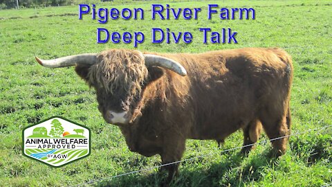 Deep Dive talk: what is A Greener World, Animal Welfare Approved Label all about part 1