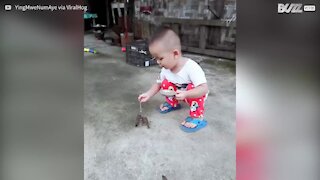Bambino generoso nutre gli uccellini