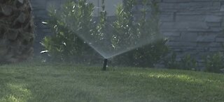 Water fines: How to conserve water and avoid paying