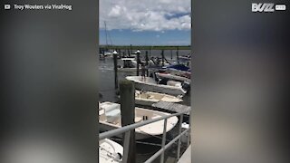 Tempestade arranca marina e dezenas de barcos