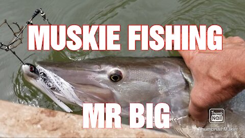 Musky Fishing West Virginia