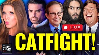 BREAKING: CAT FIGHT!