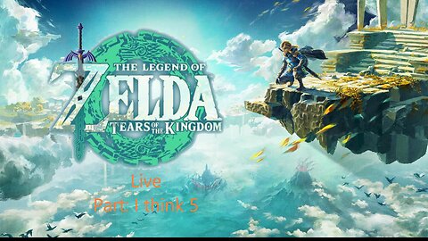 Zelda Tears of the Kingdom: part honestly lost count so lets say 5