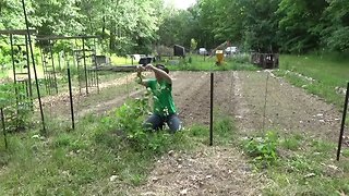 Tying Up Grape Vines & Growing Fire Wood Pile