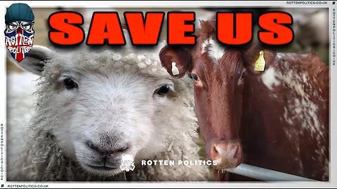 Ireland to cull ALL farm animals