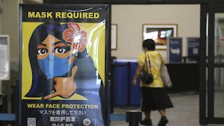 Hawaii Launching Vaccine Passports For Travel Between Its Islands
