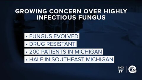 Concern grows as drug-resistant fungus spreads in Michigan facilities