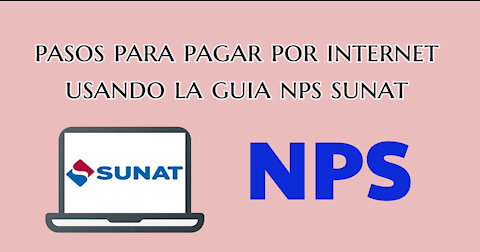 Como pagar a Sunat por internet usando la guia NPS