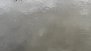 Feeding splashing minnows