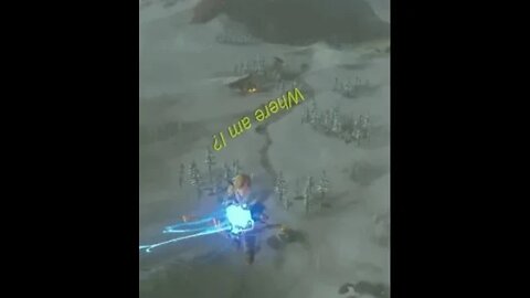 BOTW: What?