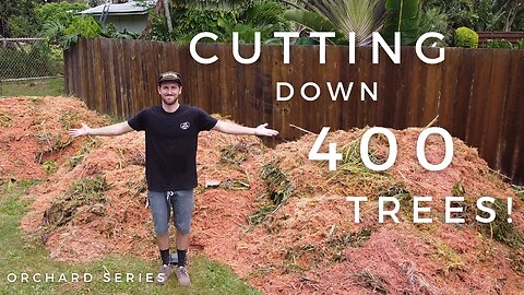Cutting Down 400 Trees to Plant an Orchard | 01