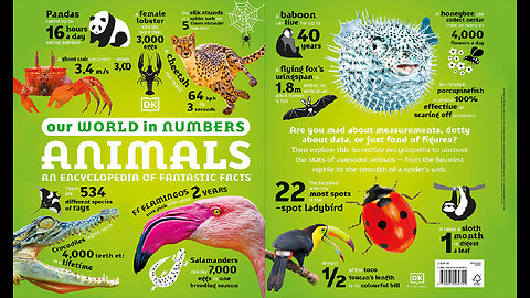 Our World in Numbers: Animals: An Encyclopedia of Fantastic Facts