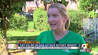 Cat killed in dog attack in Fort Wright