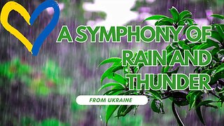 A Symphony of Rain and Thunder: Let the Soothing Sounds Transport You to Another World [ASMR]